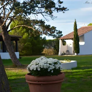  Hotel Mas Mls