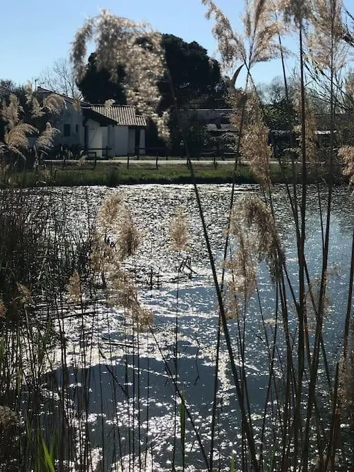 Hébergement de vacances Villa Campagne Camarguaise à Les Les Saintes-Maries-de-la-Mer